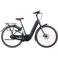 Gazelle Arroyo C8 Elite RT HMB 2025 28 Zoll