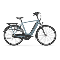 Gazelle Arroyo C7+ HMB Elite 2025 28 Zoll RH