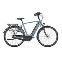 Gazelle Arroyo C7+ HMB Elite 500 Wh Damen grau