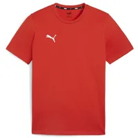 Puma teamGOAL Casuals Tee