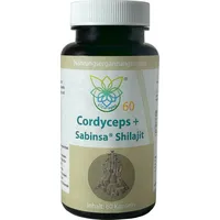VITARAGNA CORDYCEPS Sabinsa® Shilajit Premium Adaptogene Komplex – Für