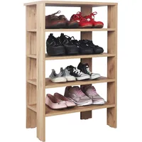 Ricoo Schuhregal platzsparend WM040-EG Shoe Rack Schuhschrank mit 4