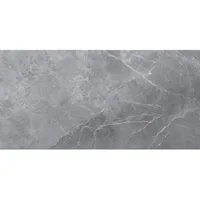 Vabene Bodenfliese Feinsteinzeug Opium 60 x 120 cm silber