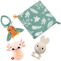 Fisher-Price Sensorische Erlebnisse Geschenkset, 4 sensorische Spielzeuge mit