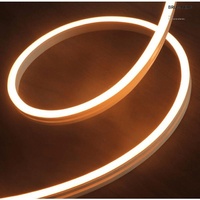 Brumberg LED-Flexplatine 19592004