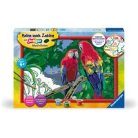 Ravensburger Malen nach Zahlen 1 St. Mehrfarbig