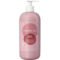 Inebrya Shampoo