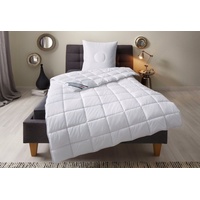 Fan f.a.n. Schlafkomfort Kunstfaserbettdecke »Wellness Line«, normal, Füllung Polyester,