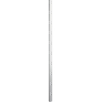 SCHULTE Regalwelt Schulte Profi-C-Steckprofil 195 cm x 4,2 cm