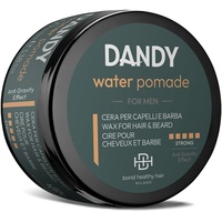 Dandy Water Pomade 100 ml