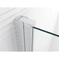 Glaszentrum Hagen Eckdusche mit Drehtür 62,5 x 195 cm