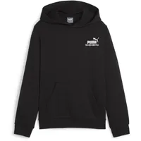 Puma ESS+ Mid 90s Hoodie Tr B Sweat