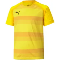 Puma teamVISION Trikot Kinder cyber yellow/spectra/black 152