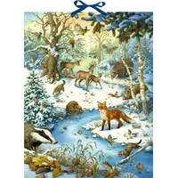 Coppenrath Verlag Die Tiere im Winterwald und ihr geheimes