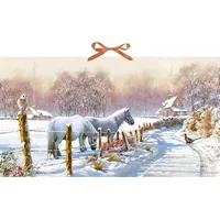 Coppenrath Verlag Wand-Adventskalender