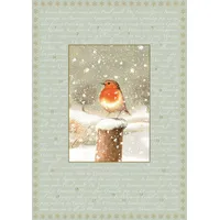 Coppenrath Verlag A4-Wand-Adventskalender - Marjoleins Rotkehlchen
