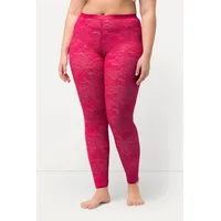 Ulla Popken Strumpfhose in beere | 50-52