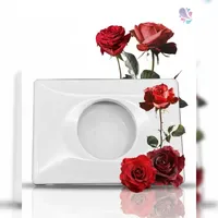 Blanc HYGIENIC Hygienetütenspender FIX, für Damenhygienebeutel/-tüten, Wandmontage