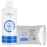 Style & Care Blondierpulver 12% 500 ml