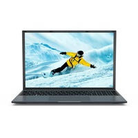Medion E16433, Grau, 16 Zoll, Full HD+, IPS, Intel