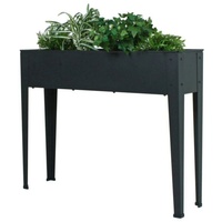 Garden Pleasure BEDELIA anthrazit 507278