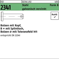 Industrial Quality Supplies ISO 2341 Bolzen mit Kopf Stahl