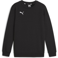 Puma teamGOAL Casuals Crew Neck Sweat Jr