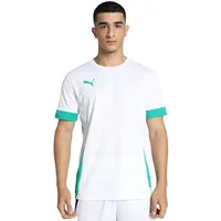 Puma teamGOAL Matchday Trikot Herren 15 white/sport green/sport green