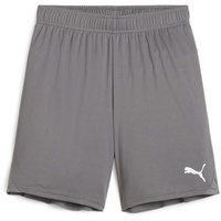 Puma teamGOAL Shorts Kinder 13 cast iron/white 128