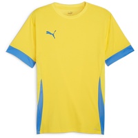 Puma teamGOAL Matchday Jersey