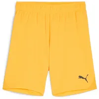 Puma teamGOAL Shorts Kinder 61 sun stream/black 116