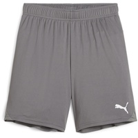 Puma teamGOAL Shorts Kinder 13 cast iron/white 116