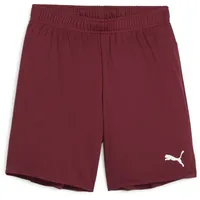 Puma teamGOAL Shorts Kinder - bordeaux 116