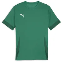 Puma teamGOAL Matchday Trikot Herren 05 sport green/white/power green
