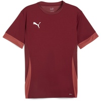 Puma teamGOAL Matchday Trikot Herren 09 team regal red/white/astro