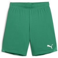 Puma teamGOAL Shorts Jr (705753)