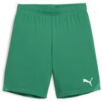 Puma teamGOAL Shorts Kinder - grün-116
