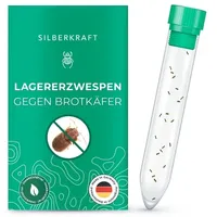 Silberkraft Lagererzwespen gegen Brotkäfer 1 St