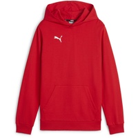 Puma Teamgoal Casuals Hoody Jr Pullover