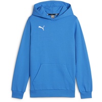 Puma teamGOAL Casuals Hoodie Jungen 02 ignite blue/white 152