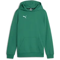 Puma teamGOAL Casuals Hoodie Jungen 05 sport green/white 128