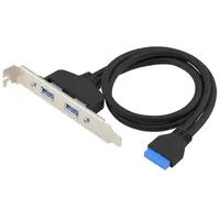 Conceptronic EMRICK11B 19-Pin-Weiblich zu Dual-USB-A-Weiblich USB 3.0 Adapter, U