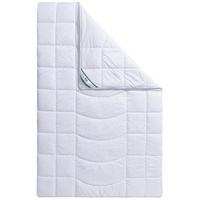 Fan Microfaserbettdecke »Warmmax«, extrawarm, (1 St.), kuscheliges Schlafgefühl, kochfeste
