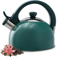 Kadax Wasserkessel aus Edelstahl, 1,7L Wasserkessel, Grün