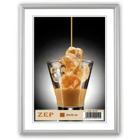 ZEP AL1S2