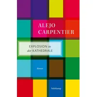 Suhrkamp Explosion in der Kathedrale