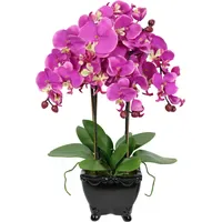 I.GE.A. Kunstblume I.GE.A. "Künstliche Orchidee in Schale Phalaenopsis Kunstblume