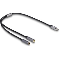 DeLock Adapter USB Type-CTM Stecker DAC 24 Bit -