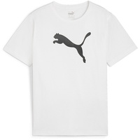 Puma Teamrise Logo Jersey Cotton Jr Tees
