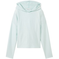 Tom Tailor Kapuzenshirt Streifenmuster Mint/Weiß XL